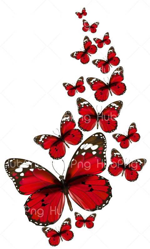 group of borboletas png Transparent Background Image for Free