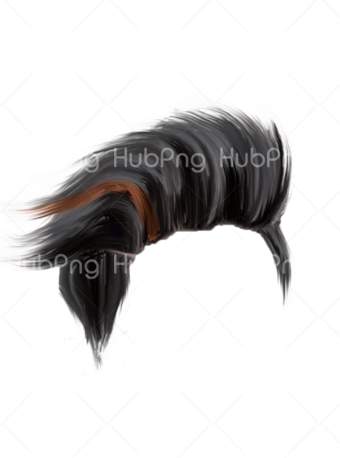 hair png zip file download hd Transparent Background Image for Free