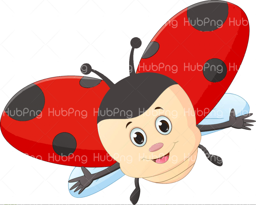 ladybug png clipart Transparent Background Image for Free