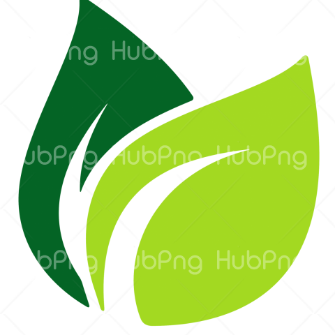 leaf png clipart Transparent Background Image for Free