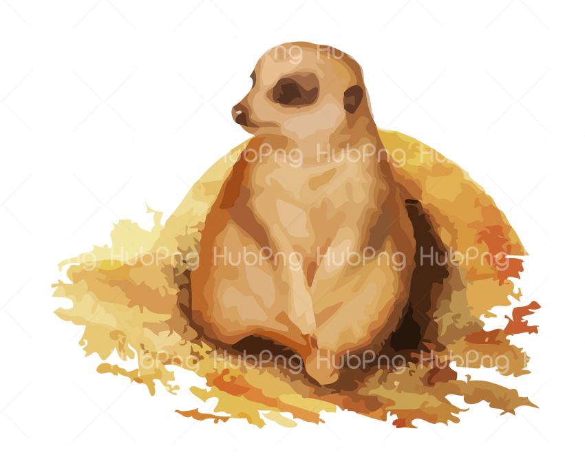 meerkat groundhog png Transparent Background Image for Free