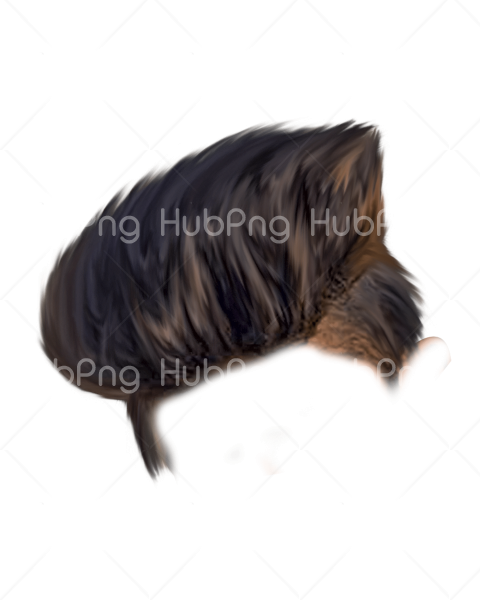 picsart png hd hair style Transparent Background Image for Free