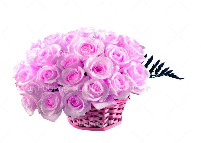 Download Pink Rose flower Rose Hd Wallpaper 50 Pink Roses png Basket Transparent Background Image for Free