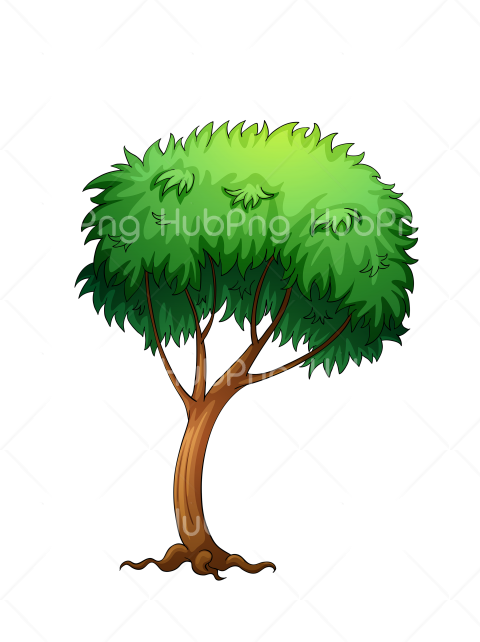 png tree vector Transparent Background Image for Free