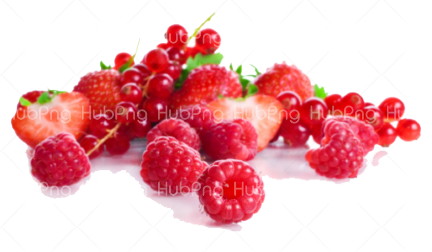 Red berries png Transparent Background Image for Free
