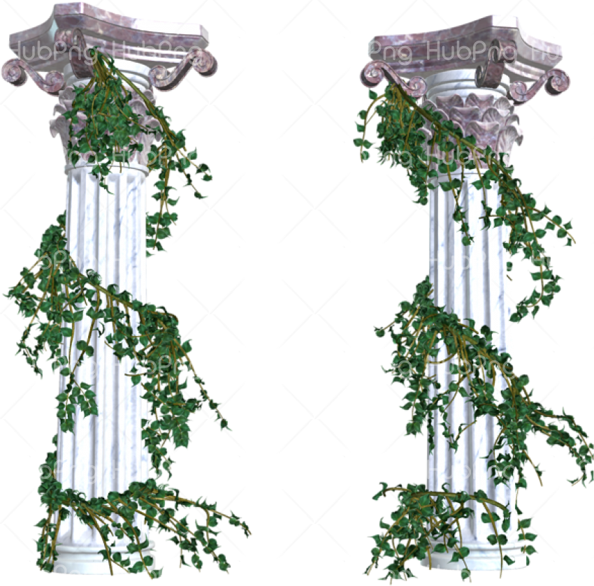 vines png colum Transparent Background Image for Free