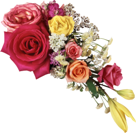 Bouquet flowers PNG image with transparent background