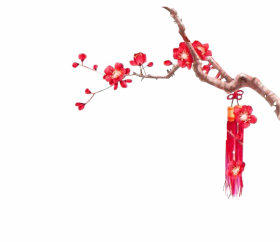 Chinese Flower PNG Transparent image