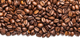 coffee bean png logo