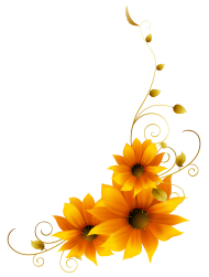 sunflower png clipart
