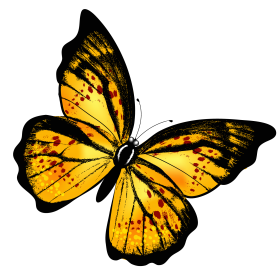 yellow butterfly png